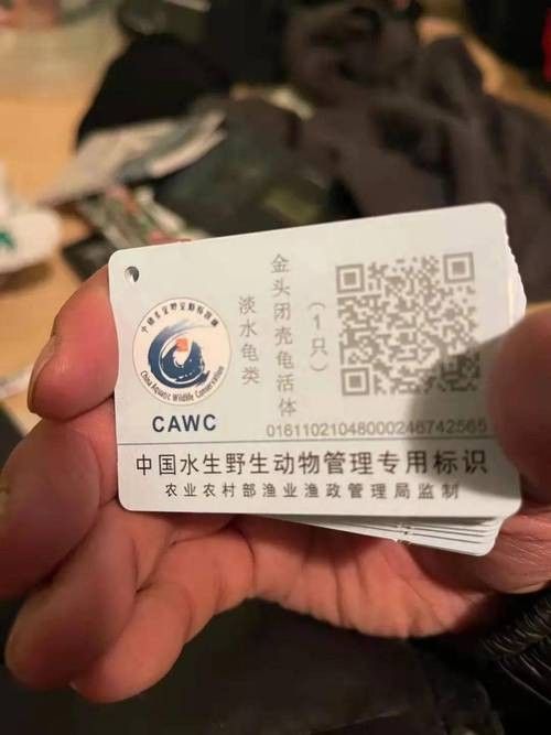 有哪些保護標識牌包含過山龍魚圖片？（保護標識牌中包含過山龍魚圖片的具體案例） 有哪些保護標識牌包含過山龍魚圖片？（保護標識牌中包含過山龍魚圖片的具體案例） 龍魚百科 第12張