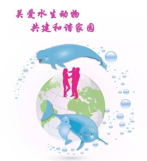有哪些保護標識牌包含過山龍魚圖片？（保護標識牌中包含過山龍魚圖片的具體案例） 有哪些保護標識牌包含過山龍魚圖片？（保護標識牌中包含過山龍魚圖片的具體案例） 龍魚百科 第21張
