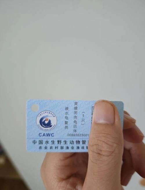 有哪些保護標識牌包含過山龍魚圖片？（保護標識牌中包含過山龍魚圖片的具體案例） 有哪些保護標識牌包含過山龍魚圖片？（保護標識牌中包含過山龍魚圖片的具體案例） 龍魚百科 第17張