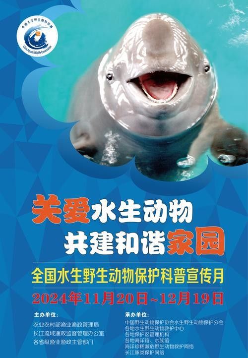 有哪些保護標識牌包含過山龍魚圖片？（保護標識牌中包含過山龍魚圖片的具體案例） 有哪些保護標識牌包含過山龍魚圖片？（保護標識牌中包含過山龍魚圖片的具體案例） 龍魚百科 第6張