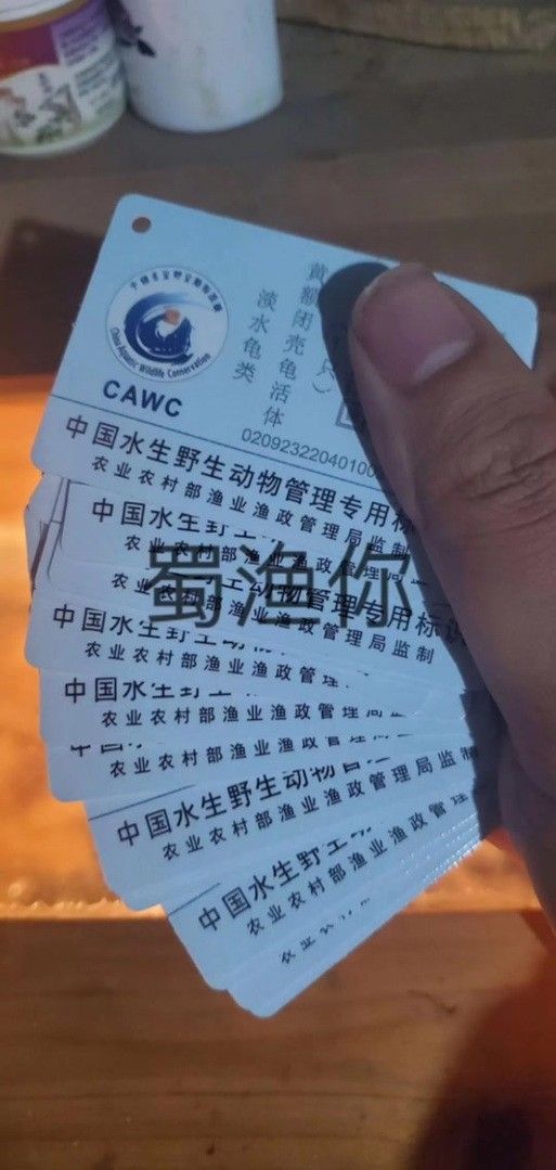 有哪些保護標識牌包含過山龍魚圖片？（保護標識牌中包含過山龍魚圖片的具體案例） 有哪些保護標識牌包含過山龍魚圖片？（保護標識牌中包含過山龍魚圖片的具體案例） 龍魚百科 第9張