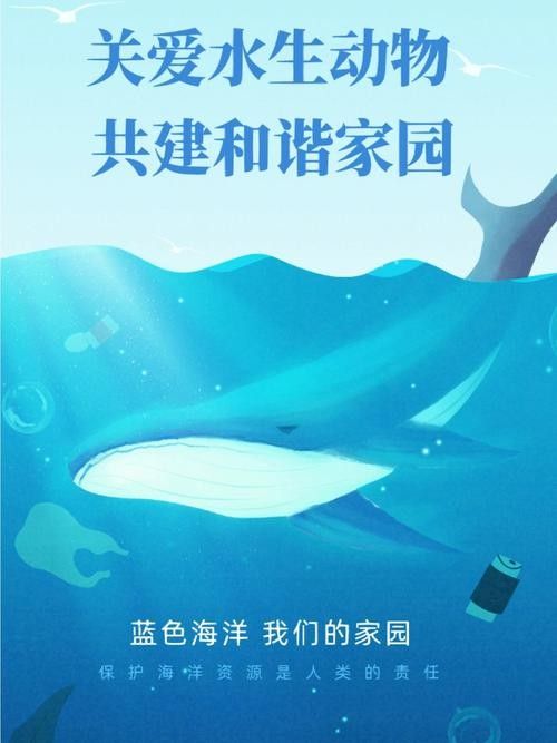 有哪些保護標識牌包含過山龍魚圖片？（保護標識牌中包含過山龍魚圖片的具體案例） 有哪些保護標識牌包含過山龍魚圖片？（保護標識牌中包含過山龍魚圖片的具體案例） 龍魚百科 第23張