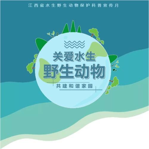有哪些保護標識牌包含過山龍魚圖片？（保護標識牌中包含過山龍魚圖片的具體案例） 有哪些保護標識牌包含過山龍魚圖片？（保護標識牌中包含過山龍魚圖片的具體案例） 龍魚百科 第27張