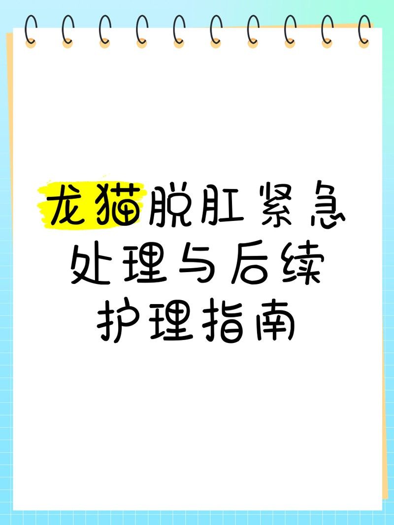 龍貓術后如何護理（龍貓寵物術后護理龍貓術后多久可以恢復健康的環境）