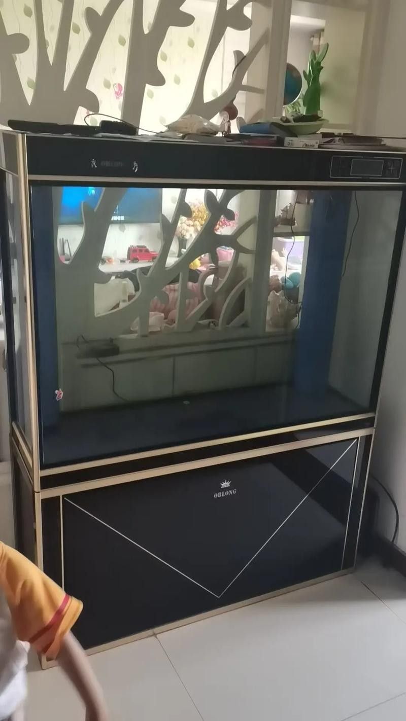 歐泊龍魚缸的價格范圍是多少(歐泊龍魚缸價格) 龍魚百科 第1張 歐泊龍魚缸的價格范圍是多少(歐泊龍魚缸價格) 歐泊龍魚缸的價格范圍是多少(歐泊龍魚缸價格) 龍魚百科 第1張
