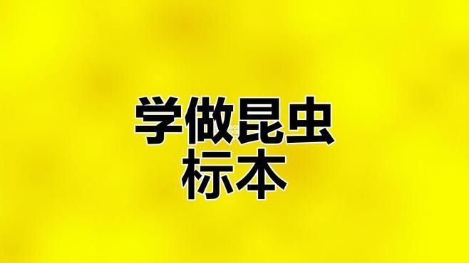 標(biāo)本制作需要哪些步驟？（制作標(biāo)本的一般步驟） 標(biāo)本制作需要哪些步驟？（制作標(biāo)本的一般步驟） 龍魚(yú)百科 第2張