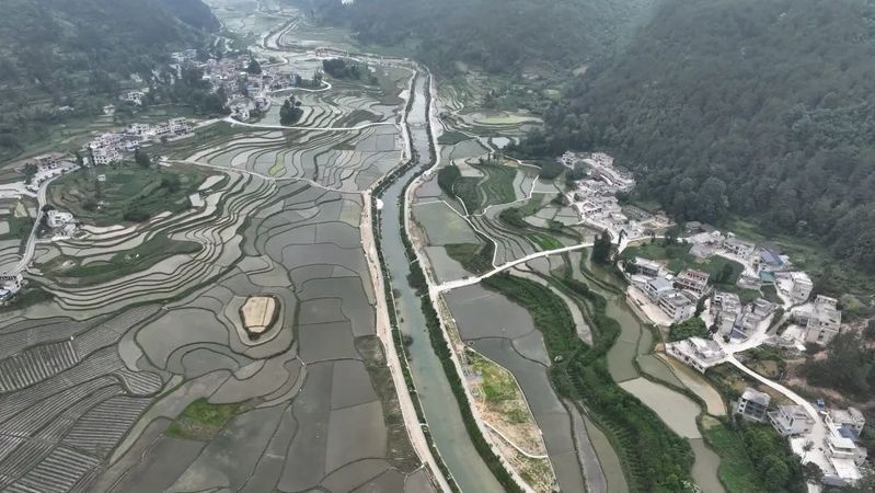 龍魚灣垂釣園有哪些魚類可以釣（武平龍魚灣垂釣園垂釣基地魚類種類及垂釣規則詳解） 龍魚灣垂釣園有哪些魚類可以釣（武平龍魚灣垂釣園垂釣基地魚類種類及垂釣規則詳解） 龍魚百科 第7張