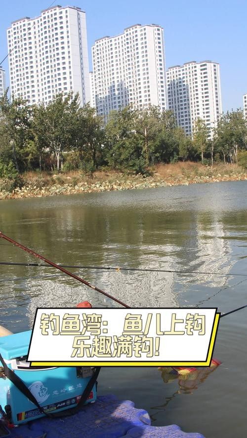龍魚灣垂釣園有哪些魚類可以釣（武平龍魚灣垂釣園垂釣基地魚類種類及垂釣規則詳解） 龍魚灣垂釣園有哪些魚類可以釣（武平龍魚灣垂釣園垂釣基地魚類種類及垂釣規則詳解） 龍魚百科 第5張