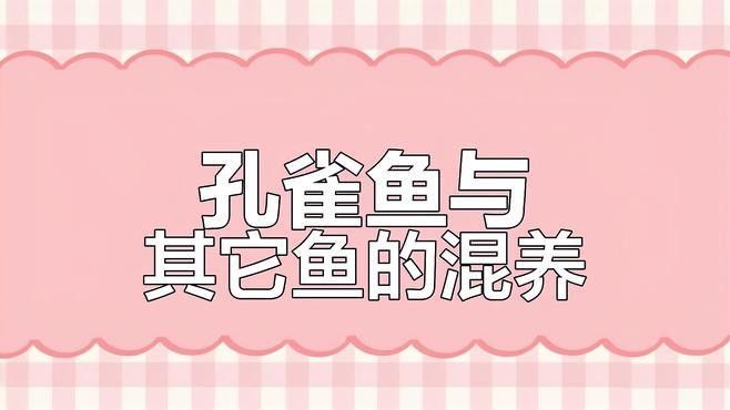 孔雀魚和哪些魚混養比較好（孔雀魚和什么魚可以混養） 孔雀魚和哪些魚混養比較好（孔雀魚和什么魚可以混養） 龍魚百科 第4張