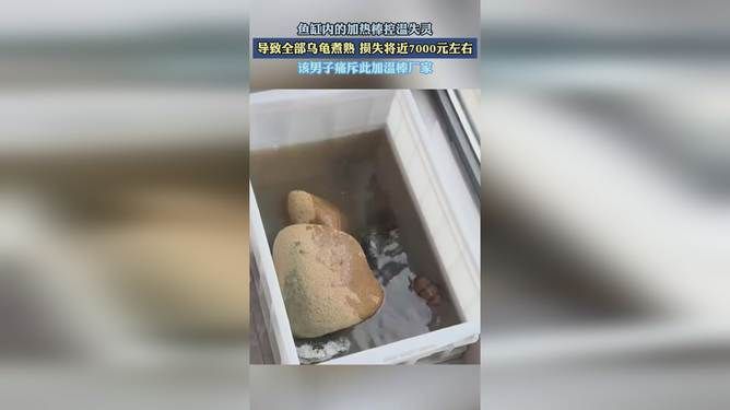 紅龍魚 適合池子養的觀賞魚有哪些種類(適合水池養的觀賞魚)(適合池子養的觀賞魚) 觀賞魚百科 適合池子養的觀賞魚有哪些種類(適合水池養的觀賞魚)(適合池子養的觀賞魚) 適合池子養的觀賞魚有哪些種類(適合水池養的觀賞魚)(適合池子養的觀賞魚) 觀賞魚百科