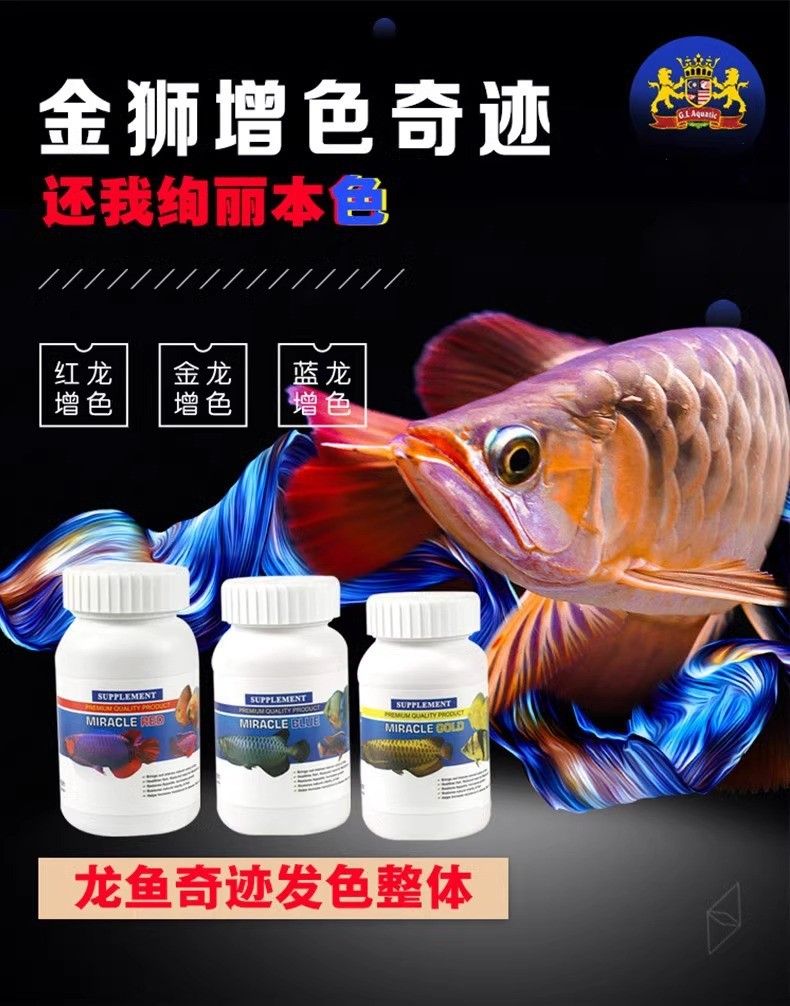 高背金龍魚發(fā)色需要哪些輔助劑？（高背金龍魚發(fā)色輔助劑推薦）