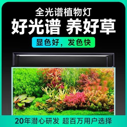 哪些品牌的水族燈具口碑最好（水族燈具品牌口碑良好的水族燈具品牌及適用場(chǎng)景及總結(jié)）