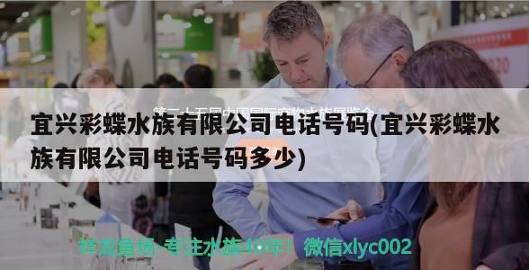 龍魚干蝦有營養嗎 宜興彩蝶水族有限公司電話號碼(宜興彩蝶水族有限公司電話號碼多少)(宜興彩蝶水族有限公司電話號碼) 觀賞魚百科 宜興彩蝶水族有限公司電話號碼(宜興彩蝶水族有限公司電話號碼多少)(宜興彩蝶水族有限公司電話號碼) 宜興彩蝶水族有限公司電話號碼(宜興彩蝶水族有限公司電話號碼多少)(宜興彩蝶水族有限公司電話號碼) 觀賞魚百科