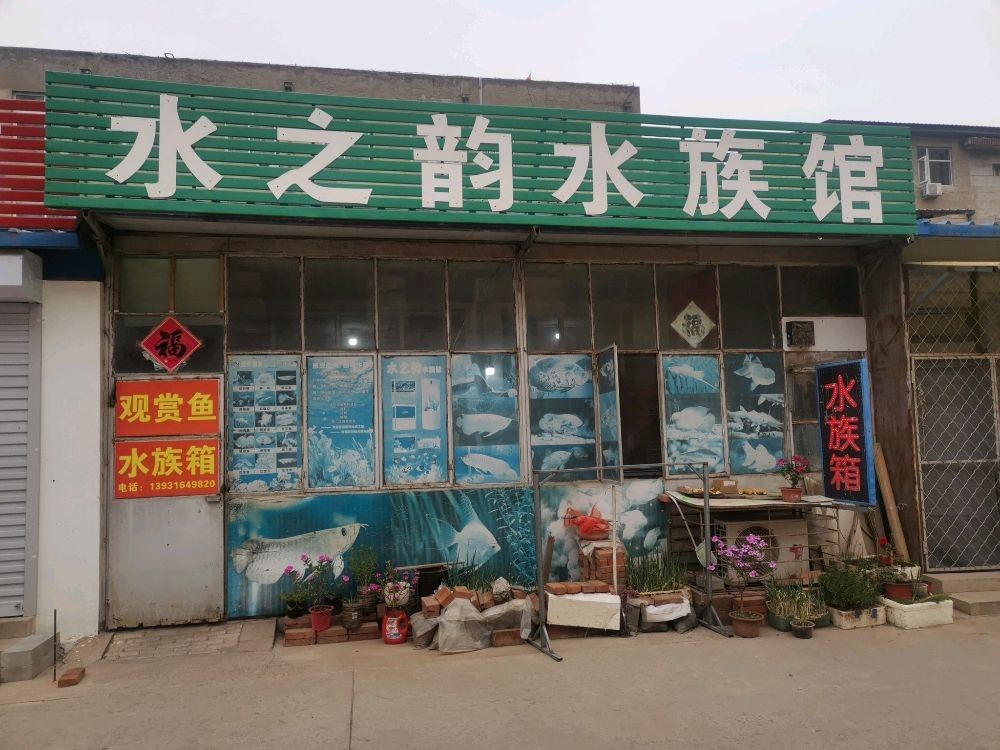 城固哪個水族館龍魚好？祥龍魚場龍魚（北京城固哪個水族館口碑最好城固祥龍魚場紅龍怎么樣）