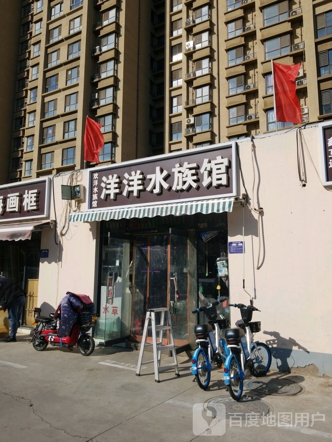 城固哪個水族館龍魚好？祥龍魚場龍魚（北京城固哪個水族館口碑最好城固祥龍魚場紅龍怎么樣）