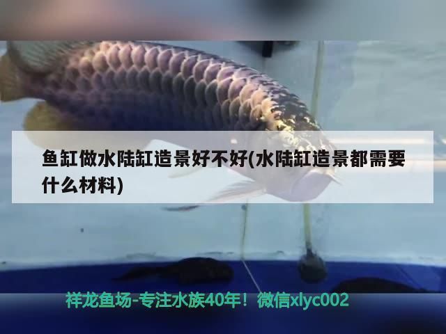 魚缸做水陸缸造景好不好(水陸缸造景都需要什么材料)（魚缸做水陸缸做水陸缸造景好不好）