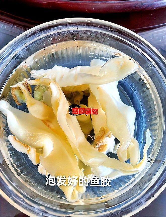 南美小金龍魚膠的泡發方法（南美小金龍魚膠怎么泡發）