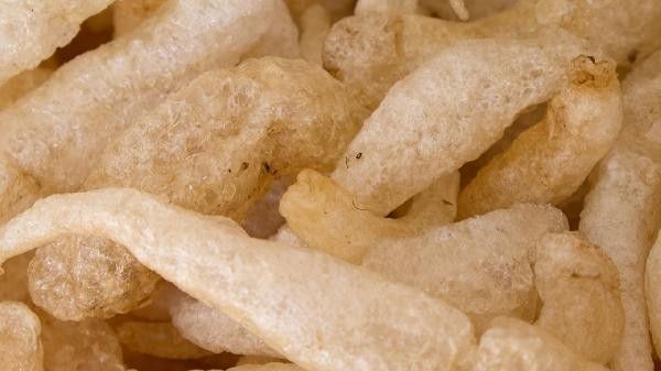 南美小金龍魚膠的泡發方法（南美小金龍魚膠怎么泡發）