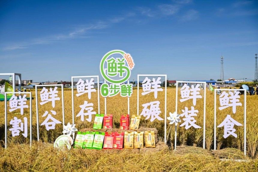 金龍魚(yú)的新產(chǎn)品何時(shí)上市（超越“世界米王”日本越光米） 金龍魚(yú)的新產(chǎn)品何時(shí)上市（超越“世界米王”日本越光米） 龍魚(yú)百科 第10張
