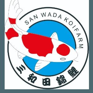 東莞東江錦鯉養(yǎng)殖場是否也銷售龍魚（東莞東江錦鯉養(yǎng)殖場是否銷售龍魚） 東莞東江錦鯉養(yǎng)殖場是否也銷售龍魚（東莞東江錦鯉養(yǎng)殖場是否銷售龍魚） 龍魚百科 第2張