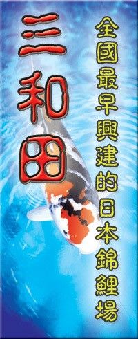 東莞東江錦鯉養(yǎng)殖場是否也銷售龍魚（東莞東江錦鯉養(yǎng)殖場是否銷售龍魚） 東莞東江錦鯉養(yǎng)殖場是否也銷售龍魚（東莞東江錦鯉養(yǎng)殖場是否銷售龍魚） 龍魚百科 第3張