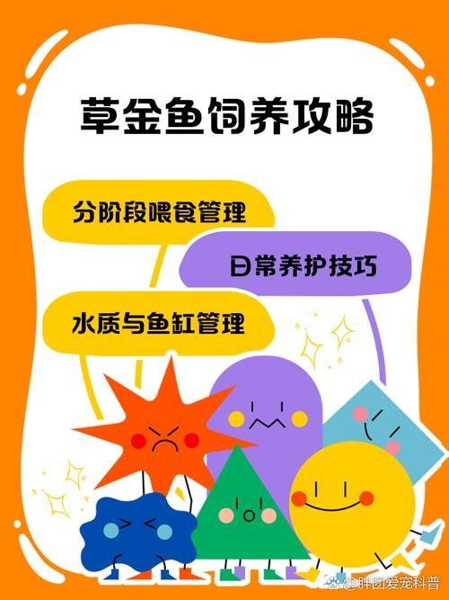 混養初期需要注意哪些事項？（混養初期，養殖戶需要注意以下幾個關鍵事項以確保養殖環境的健康）