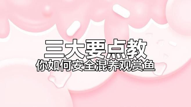 混養初期需要注意哪些事項？（混養初期，養殖戶需要注意以下幾個關鍵事項以確保養殖環境的健康）