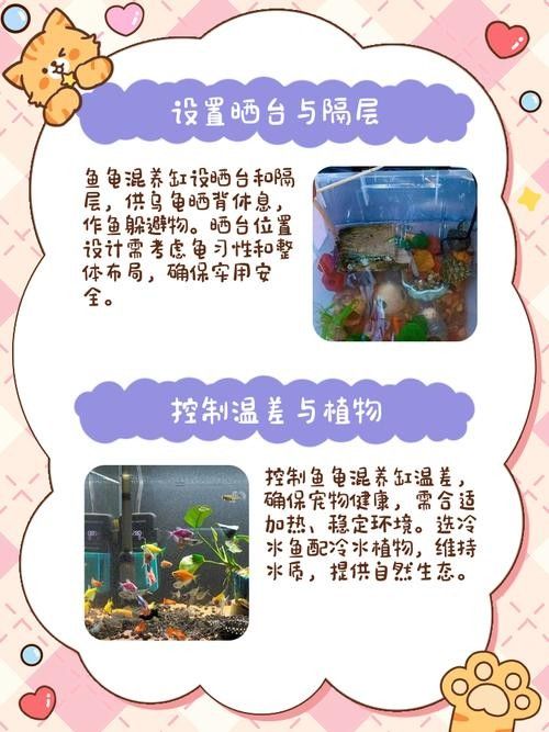 混養初期需要注意哪些事項？（混養初期，養殖戶需要注意以下幾個關鍵事項以確保養殖環境的健康）