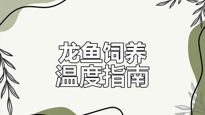 推薦一些適合龍魚幼崽的魚缸品牌（適合龍魚幼崽的水族箱品牌推薦）