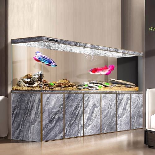 推薦一些適合龍魚幼崽的魚缸品牌（適合龍魚幼崽的水族箱品牌推薦）