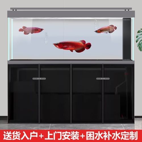 推薦一些適合龍魚幼崽的魚缸品牌（適合龍魚幼崽的水族箱品牌推薦）