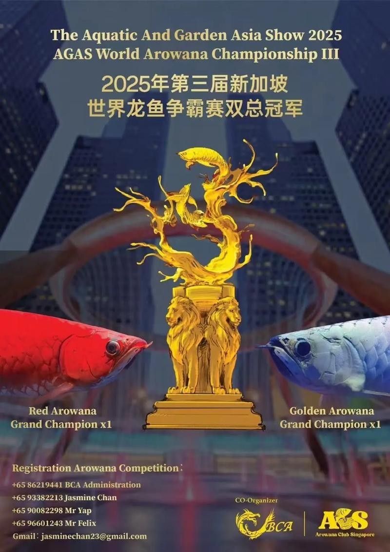 龍魚天下平臺如何加入？（商家入駐龍魚天下平臺需要哪些資質？）