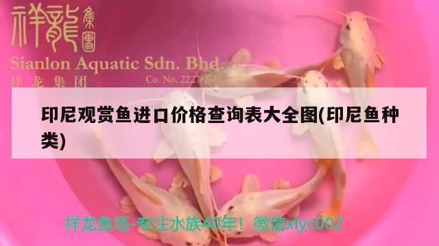 印尼觀賞魚進(jìn)口價(jià)格查詢表大全圖(印尼魚種類)