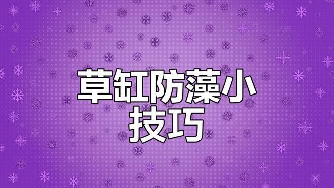 龍魚缸改草缸需要多久過渡（魚缸改草缸的過渡期怎么辦？）