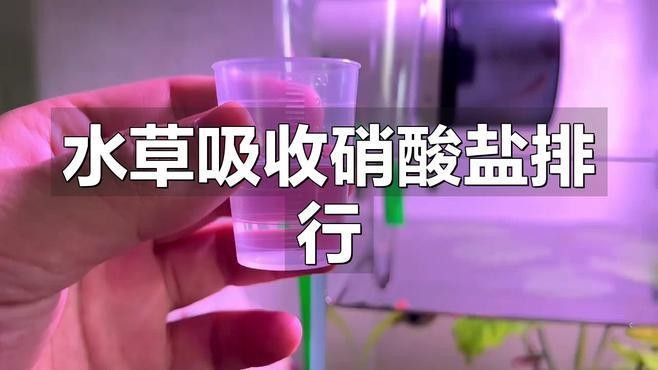 有哪些植物可以吸收硝酸鹽？