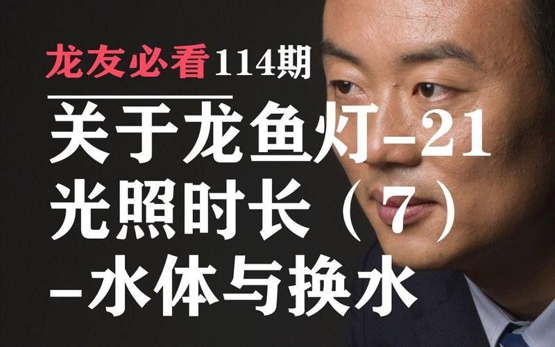 如何設置龍魚燈的光照時間（如何正確設置龍魚燈的光照時間）