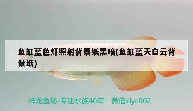 魚缸藍(lán)色燈照射背景紙黑暗(魚缸藍(lán)天白云背景紙)