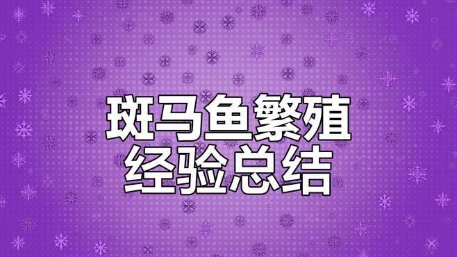 斑馬狗頭魚繁殖注意事項(xiàng)