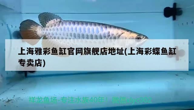 <strong><mark>上海</mark></strong>雅彩魚缸官網(wǎng)旗艦店地址(<strong><mark>上海</mark></strong>彩蝶魚缸專賣店)