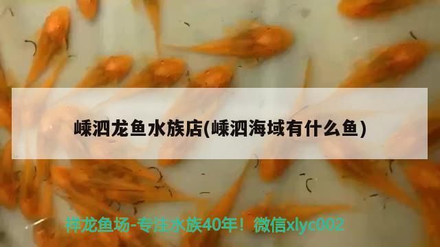 觀賞魚 嵊泗龍魚水族店(嵊泗海域有什么魚) 觀賞魚百科 嵊泗龍魚水族店(嵊泗海域有什么魚) 嵊泗龍魚水族店(嵊泗海域有什么魚) 觀賞魚百科