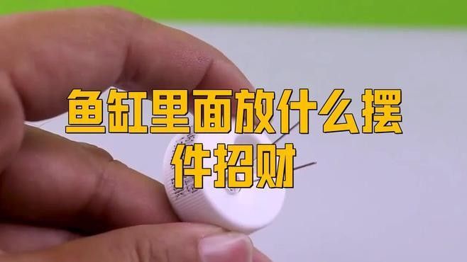 紅龍魚和招財魚混養需要哪些裝飾物？（紅龍魚和招財魚混養時需要一些特定的裝飾物來創造一個和諧且適宜的生活環境） 紅龍魚和招財魚混養需要哪些裝飾物？（紅龍魚和招財魚混養時需要一些特定的裝飾物來創造一個和諧且適宜的生活環境） 龍魚百科 第3張