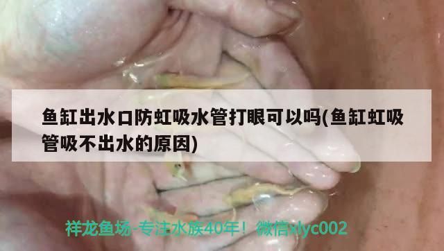 青島魚缸玻璃加工廠電話（青島玻璃加工店網點）（型青島魚缸玻璃加工廠）