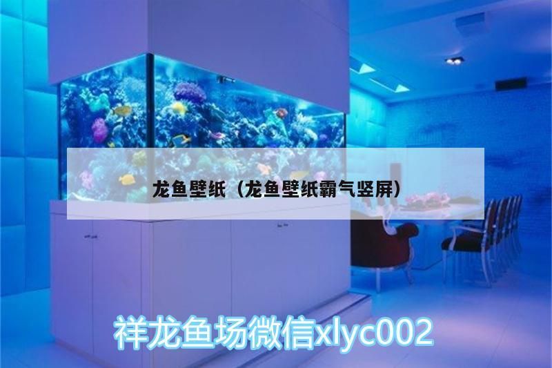 CCTV12還有哪些類似《龍魚頻道》的節(jié)目，《非遺里的中國年cctv-12節(jié)目《非遺里的中國年》 CCTV12還有哪些類似《龍魚頻道》的節(jié)目，《非遺里的中國年cctv-12節(jié)目《非遺里的中國年》 龍魚百科 第2張