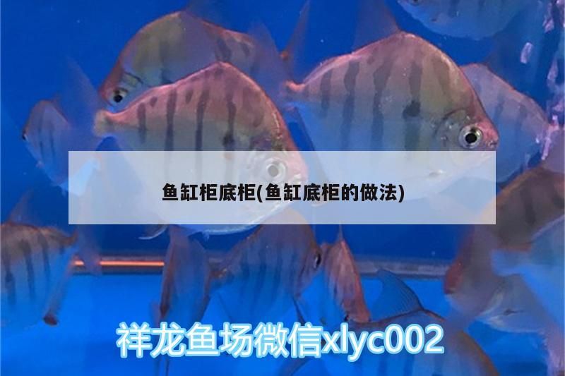 魚(yú)缸柜底柜(魚(yú)缸底柜的做法)（魚(yú)缸底柜的做法）