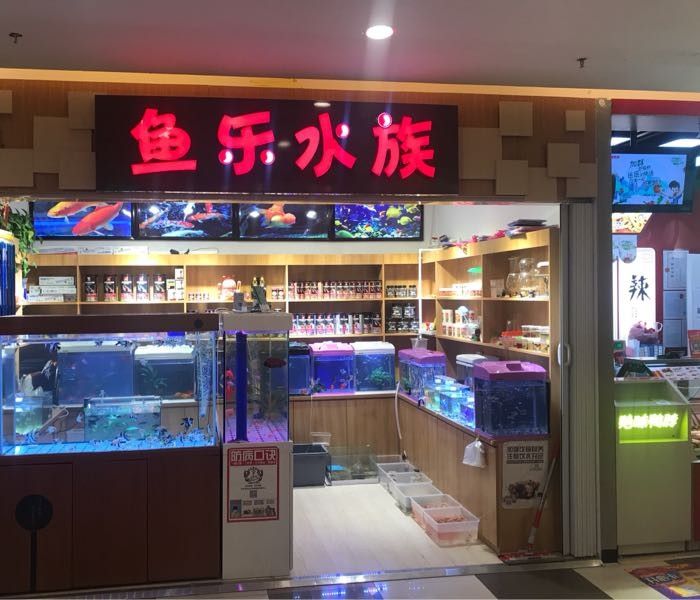 盱眙哪個水族館龍魚好？祥龍魚場龍魚