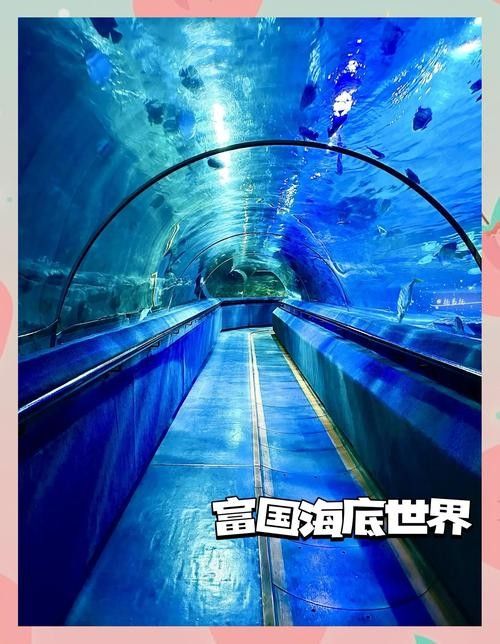 CC水族館的開放時間是？（北京水族館開放時間是每天10點至下午10點至下午6點） CC水族館的開放時間是？（北京水族館開放時間是每天10點至下午10點至下午6點） 龍魚百科 第2張