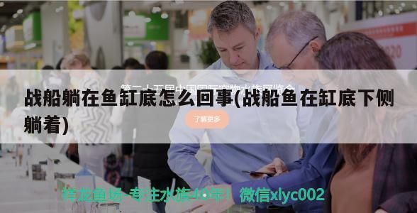 戰船躺在魚缸底怎么回事(戰船魚在缸底下側躺著)