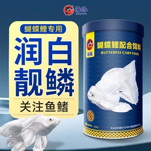龍魚和蝴蝶錦鯉混養(yǎng)需要哪些設(shè)備？