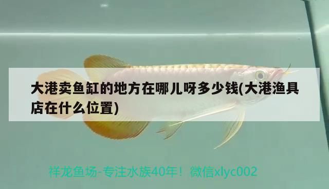 <strong><mark>大港</mark></strong>賣魚缸的地方在哪兒呀多少錢(<strong><mark>大港</mark></strong>漁具店在什么位置)