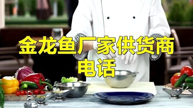 如何聯系金龍魚批發市場的供應商？ 如何聯系金龍魚批發市場的供應商？ 龍魚百科 第1張